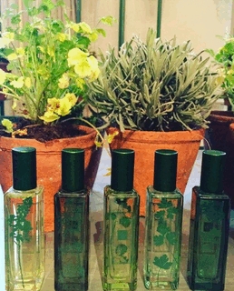 “The Herb Garden” - новая коллекция из пяти ароматов от Jo Malone