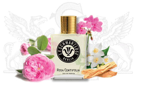 Rosa Centifolia ― J.F. Schwarzlose Berlin представляет новую версию классического аромата розы