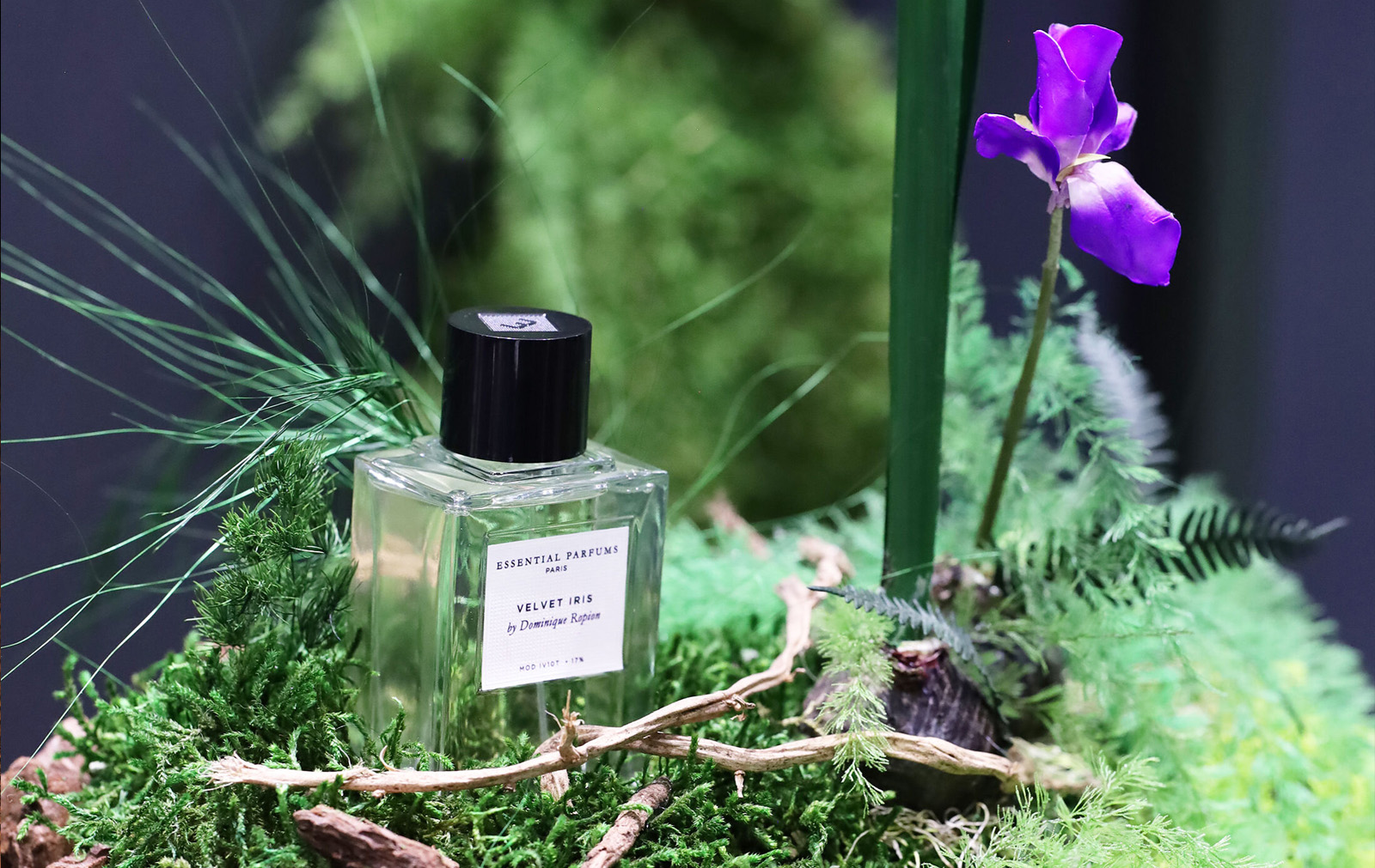 最新　ESSENTIAL PARFUMS VELVET IRIS 100ml Velvet Iris 100 ml - Essential Parfums | RAFINAD Магазин