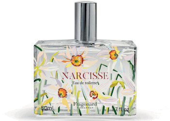 Narcisse Fragonard ― благоухание пробуждающейся весны