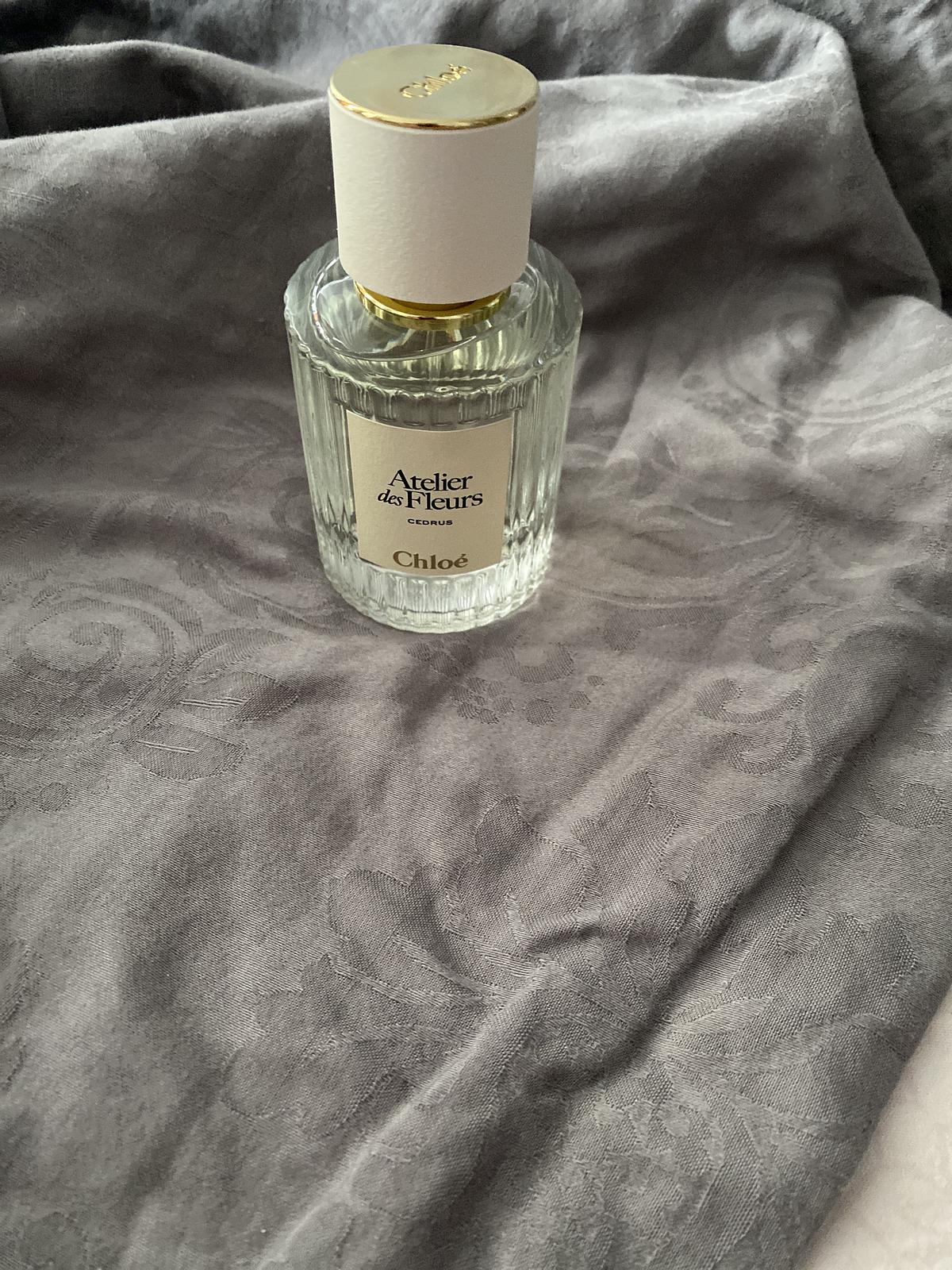 Chloe Atelier Des Fleurs Cedrus отзывы в Randewoo